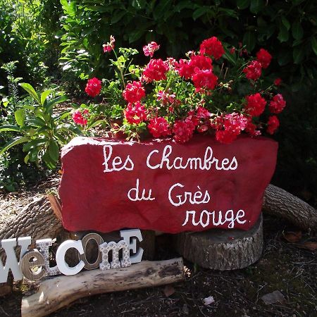 Chambres Du Gres Rouge De Beauval Exteriör bild